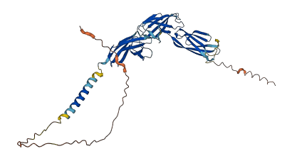 TMEM130 3D structure