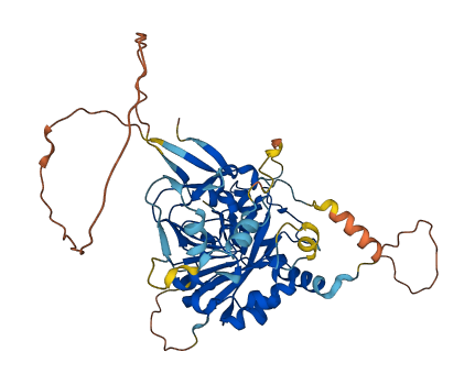 METTL4 3D structure