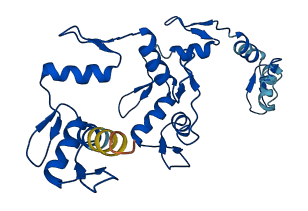 ZNF664 3D structure