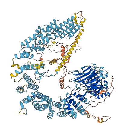 VPS8 3D structure
