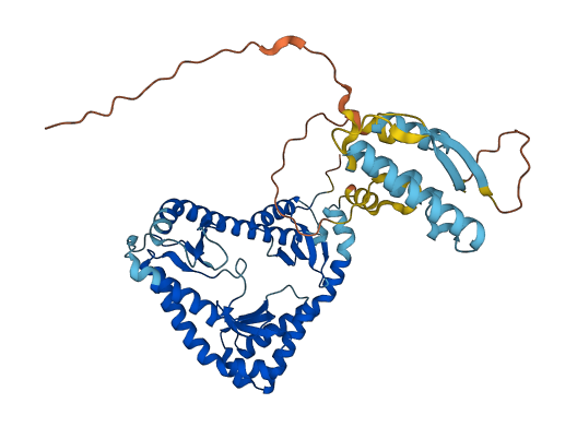 TCAIM 3D structure