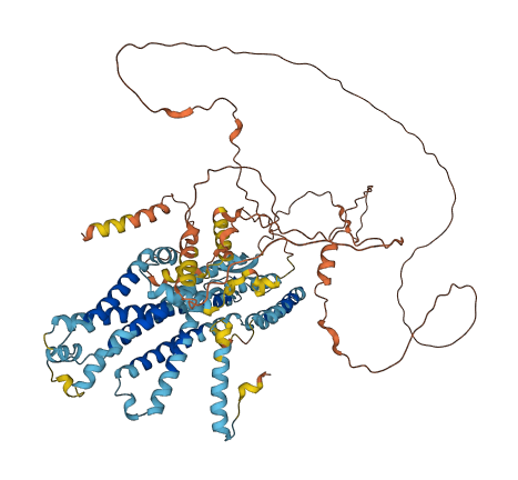 PHTF2 3D structure