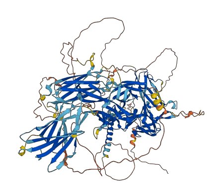 TMEM132C 3D structure