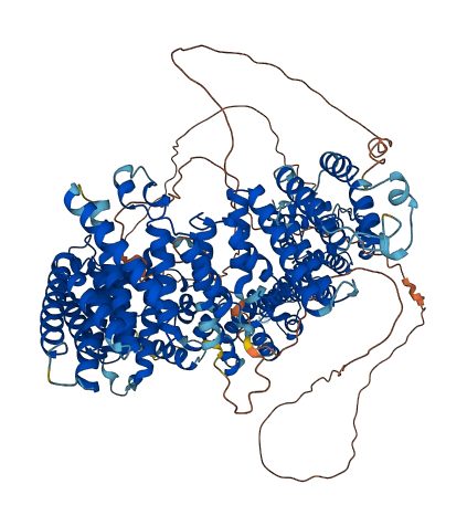 STAG2 3D structure