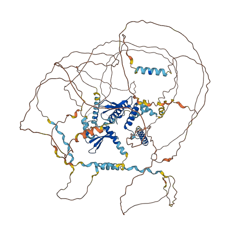 FNBP4 3D structure