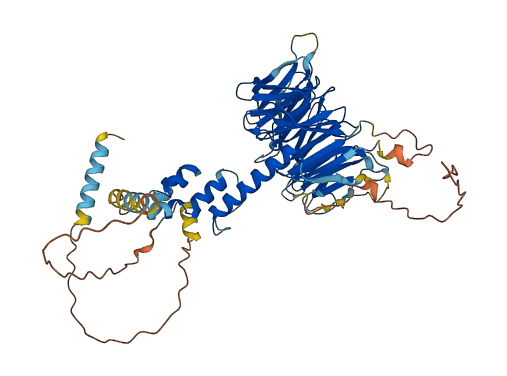 FBXW8 3D structure