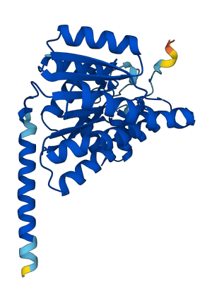 SDR16C5 3D structure