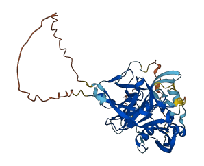 PRSS35 3D structure