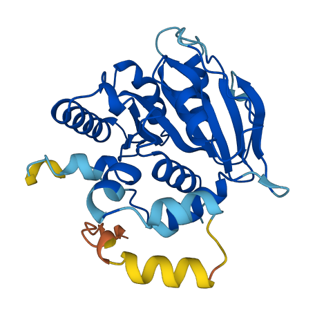 GTPBP8 3D structure