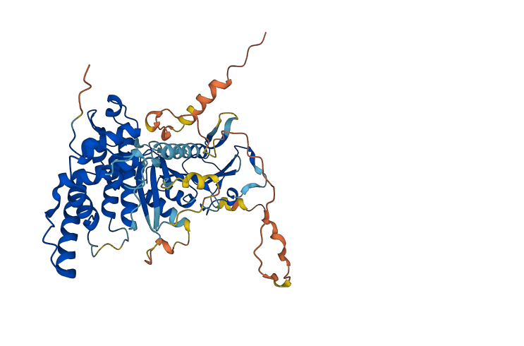 PGBD5 3D structure