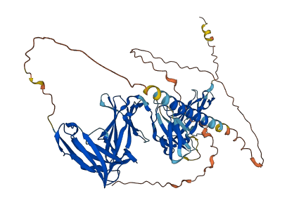 LILRB2 3D structure