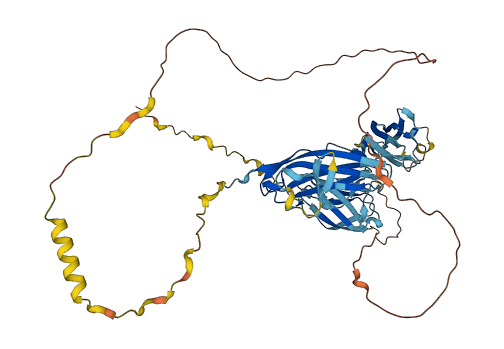 FGFRL1 3D structure