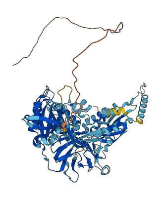 GUF1 3D structure