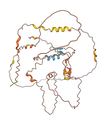ZNF843 3D structure