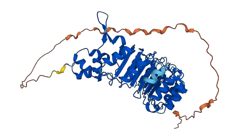 FBXL16 3D structure