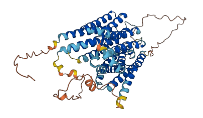 MFSD4A 3D structure