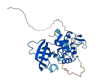 SFRP1 3D structure