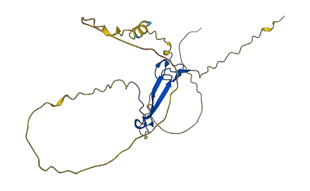 RYBP 3D structure
