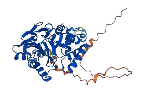 PNKD 3D structure