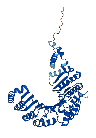 FBXO39 3D structure
