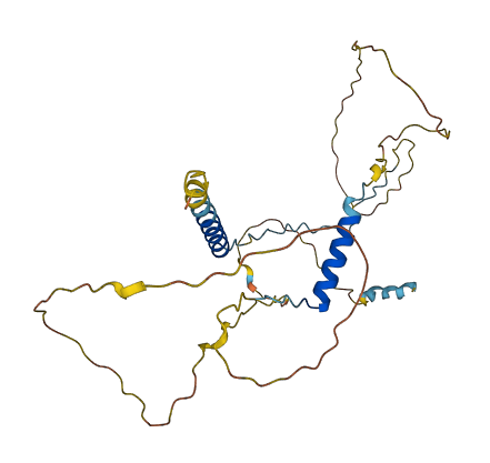 PRR18 3D structure