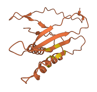 C9orf62 3D structure