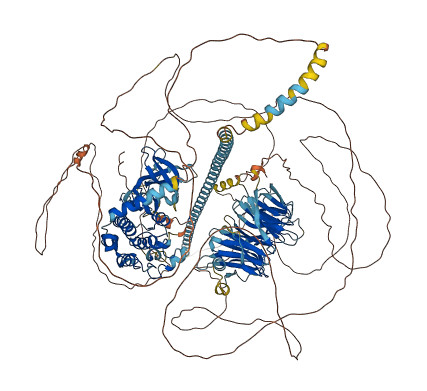 MINK1 3D structure
