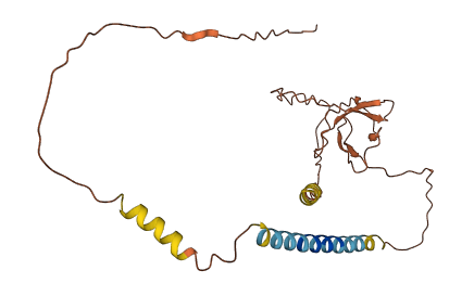 C17orf78 3D structure