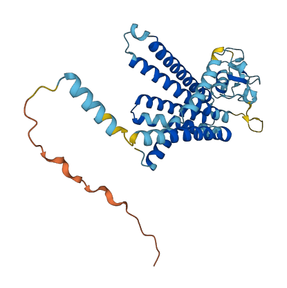 RNF175 3D structure