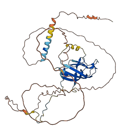 SPATA6L 3D structure
