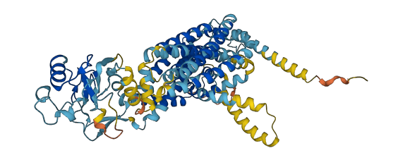 SLC44A3 3D structure