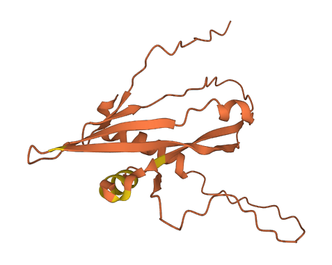 C10orf126 3D structure