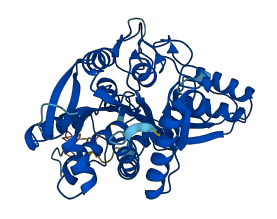 CPA6 3D structure