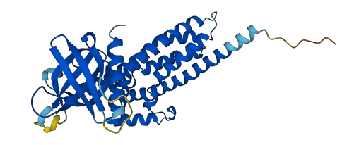 ARHGEF39 3D structure