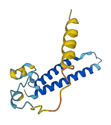 MMGT1 3D structure
