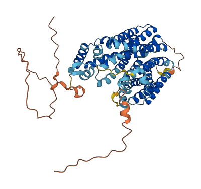 SVOP 3D structure