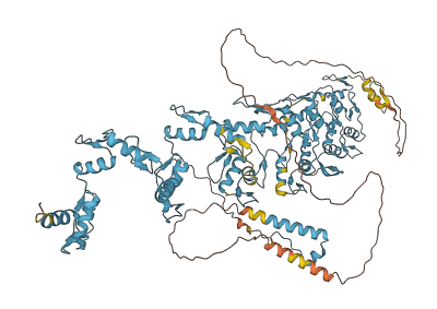 ZNF808 3D structure