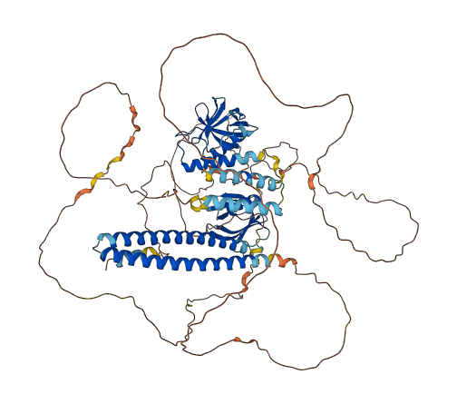 AFAP1L2 3D structure