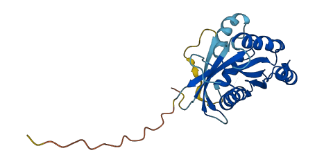 RAB42 3D structure