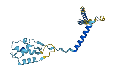 TMEM199 3D structure