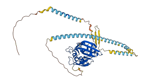 FIBCD1 3D structure