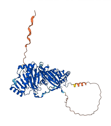 OGFOD1 3D structure