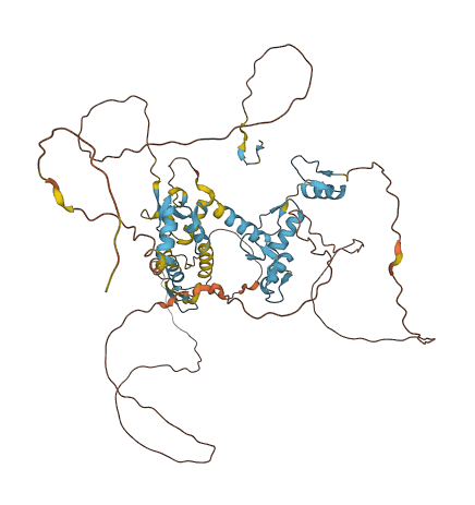 ZNF276 3D structure