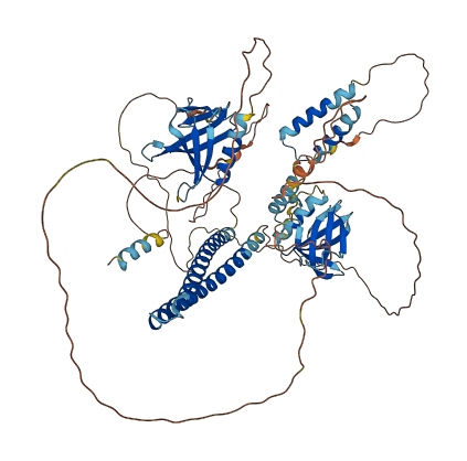AFAP1 3D structure