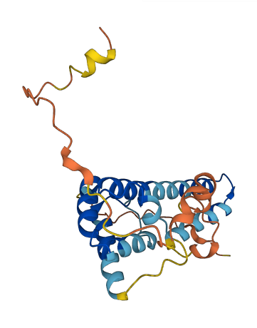 MREG 3D structure