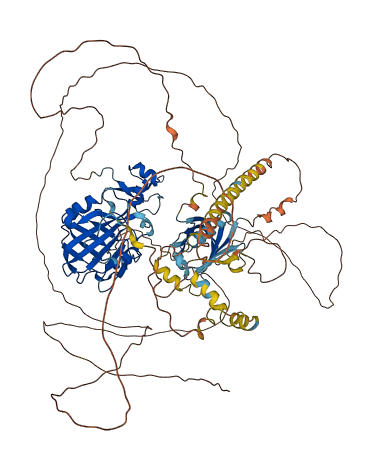 OXR1 3D structure