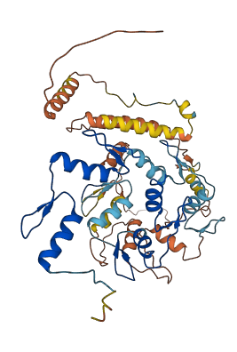 ZNF561 3D structure