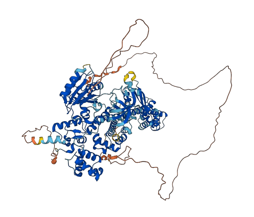 SRBD1 3D structure