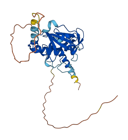 DTWD1 3D structure