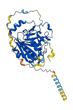 GBGT1 3D structure